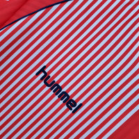 Camisa Retro DINAMARCA