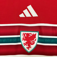 Camisa PAÍS DE GALES