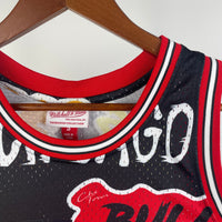 Camiseta NBA Chicago Bulls