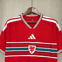 Camisa PAÍS DE GALES