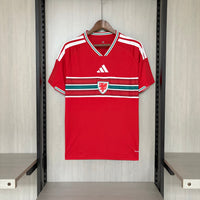 Camisa PAÍS DE GALES