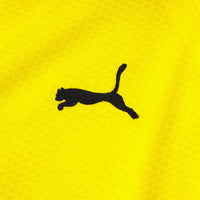Conjunto BORUSSIA DORTMUND 2 24/25 PUMA