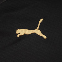 Conjunto MILAN 24/25 PUMA