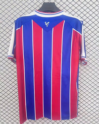 Camisa CRYSTAL PALACE