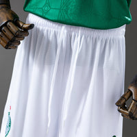 Kit Infantil I PALMEIRAS 25/26 PUMA