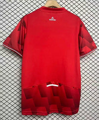 Camisa LILLE OLYMPIQUE
