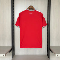 Camisa PAÍS DE GALES